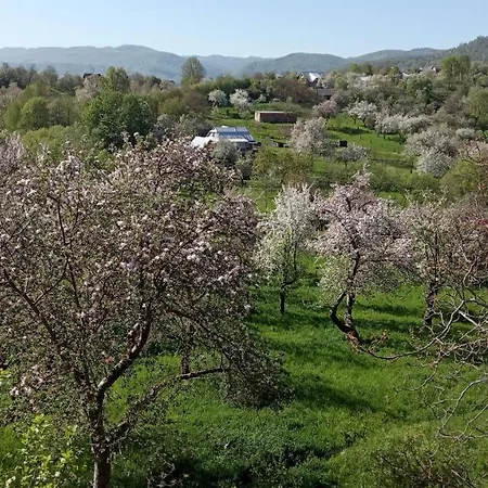 بيت ضيافة Bat'kivska Hata Stari Kuty