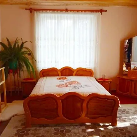 בית הארחה Bat'kivska Hata *