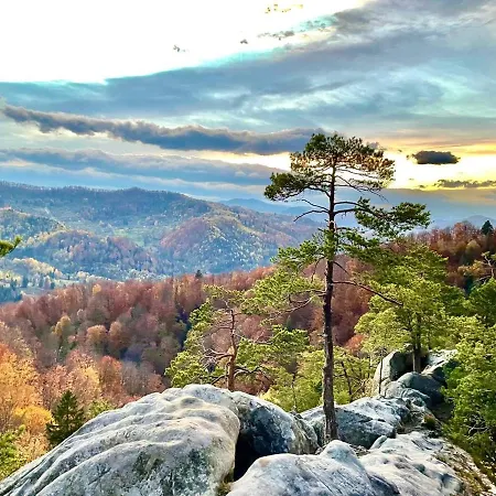 Bat'kivska Hata * Stari Kuty