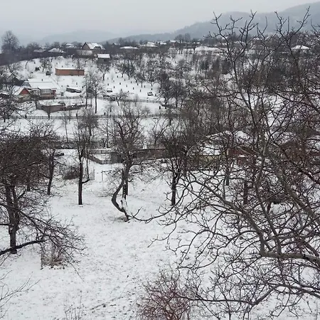 Bat'kivska Hata Pensjonat Stari Kuty