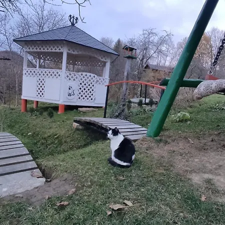 Bat'kivska Hata * Stari Kuty