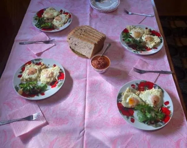 Pensjonat Bat'kivska Hata