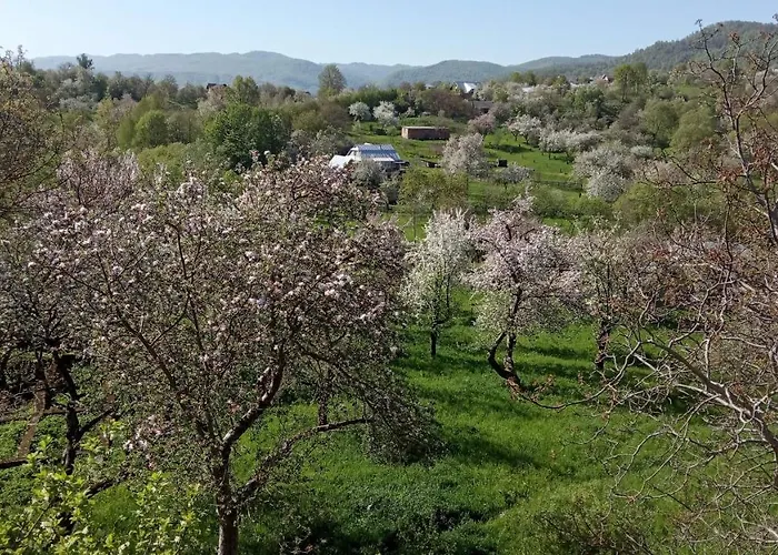 Pensjonat Bat'kivska Hata Stari Kuty