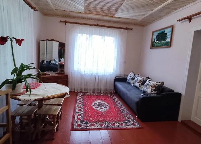 Bat'kivska Hata Pensjonat