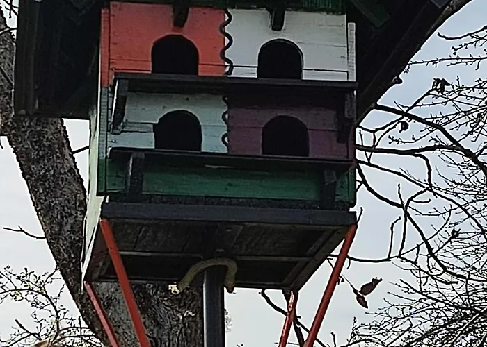 Bat'kivska Hata Pensjonat