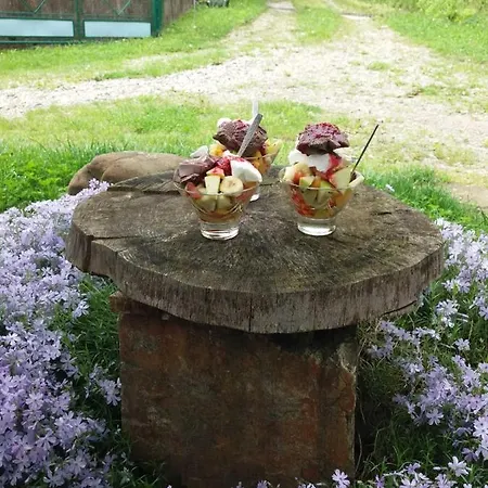 Bat'kivska Hata Πανσιόν