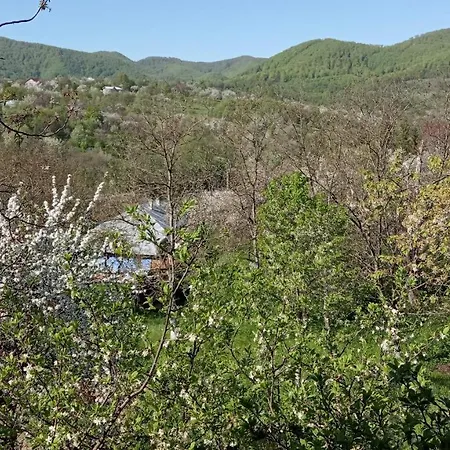 Πανσιόν Bat'kivska Hata