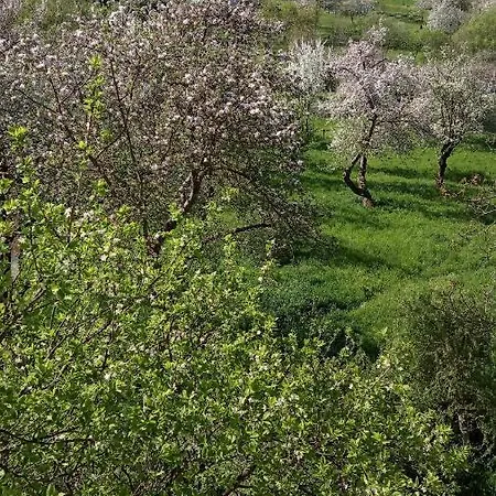 Πανσιόν Bat'kivska Hata *