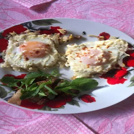 Bat'kivska Hata Πανσιόν