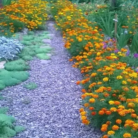Πανσιόν Bat'kivska Hata