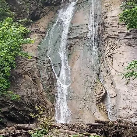 Bat'kivska Hata * Stari Kuty